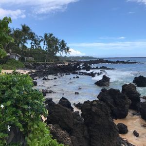 Meet your Posher, Bob